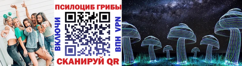 купить   Чишмы  Галлюциногенные грибы прущие грибы 